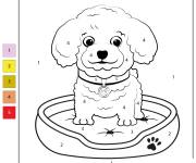 Coloriage Chiot caniche par num&eacute;ro