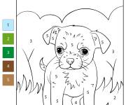 Coloriage Chiot Chihuahua par num&eacute;ro