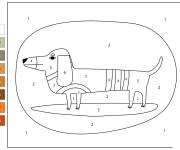Coloriage Chiot Dachshund num&eacute;rot&eacute; cp