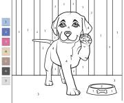 Coloriage Chiot Labrador &agrave; la maison num&eacute;rot&eacute;