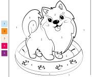Coloriage Chiot pom&eacute;ranien par num&eacute;ro