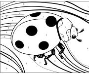 Coloriage Coccinelle sur la feuille en noir et blanc