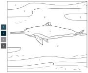 Coloriage Dauphin La Plata par num&eacute;ro