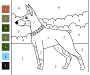 Coloriage Dobermann num&eacute;rot&eacute;