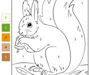 Coloriage &Eacute;cureuil par num&eacute;ro