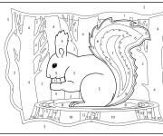Coloriage &Eacute;cureuil par num&eacute;ro &agrave; colorier