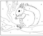 Coloriage &Eacute;cureuil timide cp par num&eacute;ro