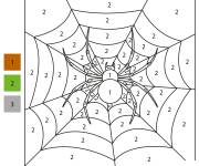Coloriage Filet d'araign&eacute;e num&eacute;rot&eacute;