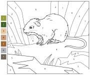 Coloriage Grand rat des aulnes num&eacute;rot&eacute;