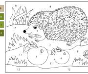 Coloriage H&eacute;rissonne avec des pommes par num&eacute;ro