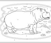 Coloriage Hippopotame d&eacute;taill&eacute; par num&eacute;ro