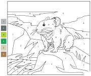 Coloriage Ili Pika par num&eacute;ro