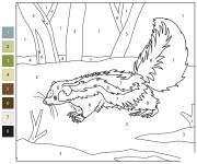 Coloriage Illustration Putois ray&eacute; par num&eacute;ro