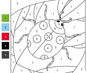 Coloriage Insecte Coccinelle par num&eacute;ro