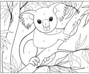 Coloriage Koala sur l'arbre num&eacute;rot&eacute; de 1-7