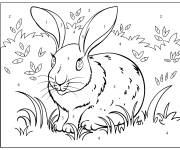 Coloriage Lapine dans la foret num&eacute;rot&eacute;