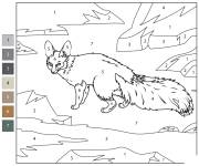 Coloriage Le renard de Blanford num&eacute;rot&eacute;