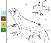 Coloriage L&eacute;zard par num&eacute;ro