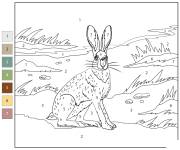 Coloriage Li&egrave;vre hispide par num&eacute;ro
