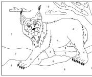 Coloriage Lynx et section num&eacute;rot&eacute;s &agrave; colorier