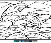 Coloriage Magique Dauphins par num&eacute;ros
