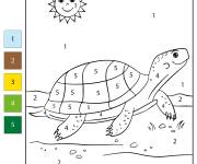 Coloriage Magique Tortue par num&eacute;ro