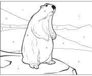 Coloriage Marmotte sur la montagne par num&eacute;ro
