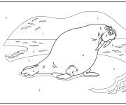 Coloriage Morse dans le pole nord par num&eacute;ro