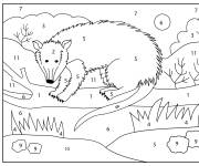 Coloriage Opossum cp par num&eacute;ro