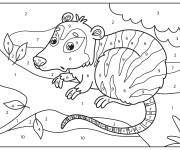 Coloriage Opossum surpris