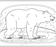 Coloriage Ours Polaire rigolo