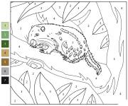 Coloriage Pacarana num&eacute;rot&eacute;