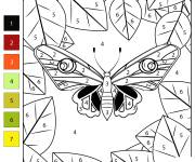 Coloriage Papillon num&eacute;rot&eacute; pour adulte