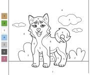 Coloriage Paysage d'un Chiot Husky par num&eacute;ro