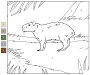 Coloriage Petit capybara num&eacute;rot&eacute;