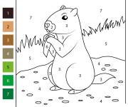 Coloriage Petit Marmotte facile par num&eacute;ro
