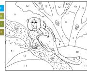Coloriage Photo du singe en noir et blanc num&eacute;rot&eacute;