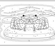 Coloriage Portrait Crabe vue de face par num&eacute;ro