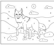 Coloriage Portrait d'un Coyote facile par num&eacute;ro