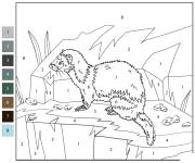 Coloriage Putois des steppes num&eacute;rot&eacute;