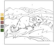 Coloriage Rat des rochers laotien par num&eacute;ro