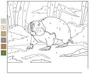 Coloriage Rat-taupe du Damaraland num&eacute;rot&eacute;