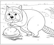 Coloriage Raton laveur en train de manger par num&eacute;ro