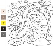 Coloriage Salamandre mignon par num&eacute;ro