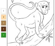 Coloriage Singe pendu sur l'arbre par num&eacute;ro