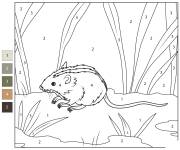 Coloriage Souris des champs ray&eacute;e num&eacute;rot&eacute;
