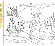 Coloriage Suricate facile par num&eacute;ro de 1-13
