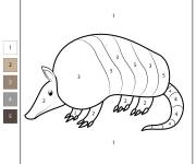 Coloriage Tatous num&eacute;rot&eacute; de 1-5