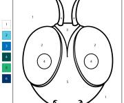 Coloriage T&ecirc;te de libellule num&eacute;rot&eacute; de 1-6
