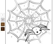 Coloriage Toile d'araign&eacute;e par num&eacute;ro